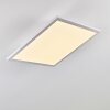 Barasat Plafondlamp LED Wit, 1-licht