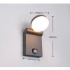 Trio ADOUR Muurlamp LED Antraciet, 1-licht, Bewegingsmelder