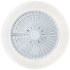 Brilliant Salerno Plafondlamp LED Wit, 1-licht, Afstandsbediening