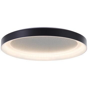 Brilliant Quito Plafondlamp LED Zwart, 1-licht