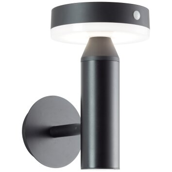 Brilliant Magua Buiten muurverlichting LED Zwart, 1-licht