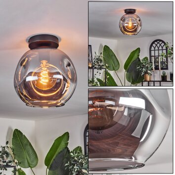 Ripoll Plafondlamp - Glas 25 cm Rookkleurig, 1-licht