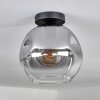 Ripoll Plafondlamp - Glas 25 cm Duidelijk, Rookkleurig, 1-licht