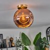 Ripoll Plafondlamp - Glas 25 cm Goud, Zwart, 1-licht