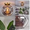 Ripoll Plafondlamp - Glas 25 cm Goud, Zwart, 1-licht