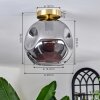 Ripoll Plafondlamp - Glas 25 cm Goud, Zwart, 1-licht