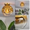 Ripoll Plafondlamp - Glas 25 cm Goud, Zwart, 1-licht