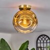 Ripoll Plafondlamp - Glas 25 cm Goud, Zwart, 1-licht