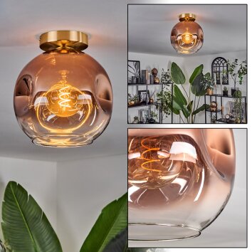 Ripoll Plafondlamp - Glas 25 cm Goud, Zwart, 1-licht