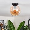 Ripoll Plafondlamp Amber, 1-licht