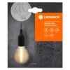 Ledvance 1906 Hanglamp Zwart, 1-licht