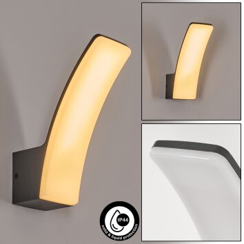 Azia Wandlamp voor buiten LED Antraciet, 1-licht