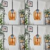 Vevino Hanglamp Amber, 5-lichts