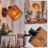 Cando Wandlamp, Muurspot Zwart, 1-licht