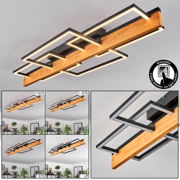 Pompu Plafondlamp LED Natuurlijke kleuren, Zwart, 1-licht