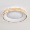 Lockeby Plafondlamp LED Natuurlijke kleuren, Wit, 1-licht, Afstandsbediening