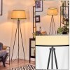 Chellas Staande lamp Beige, Zwart, 1-licht