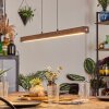 Carbellino Hanglamp LED Donkerbruin, Zwart, 1-licht