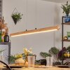 Carbellino Hanglamp LED Natuurlijke kleuren, Zwart, 1-licht