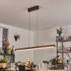 Carbellino Hanglamp LED Donkerbruin, Zwart, 1-licht