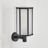 Monfanim Wandlamp voor buiten Zwart, 1-licht