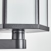 Monfanim Wandlamp voor buiten Zwart, 1-licht