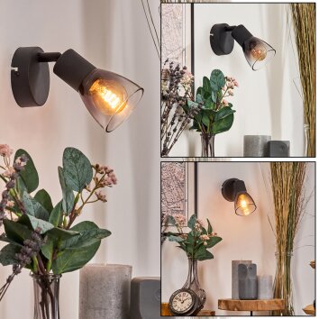 Medelim Wandlamp, Muurspot Duidelijk, Rookkleurig, 1-licht