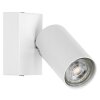 Ledvance Spot Plafondlamp LED Wit, 1-licht