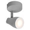 Ledvance Spot Plafondlamp LED Grijs, 1-licht