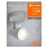 Ledvance Spot Plafondlamp LED Grijs, 1-licht