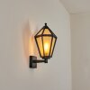 Falfosa Wandlamp voor buiten Zwart, 1-licht