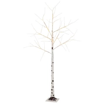 Globo Birch Buitenlicht LED Zwart, Wit, 105-lichts