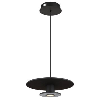 Globo Carter Hanglamp LED Zwart, 1-licht