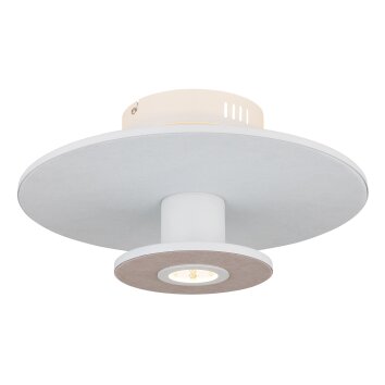 Globo Carter Plafondlamp LED Wit, 1-licht