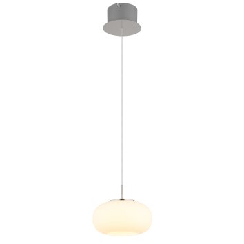 Globo Quintara Hanglamp LED Nikkel mat, 1-licht