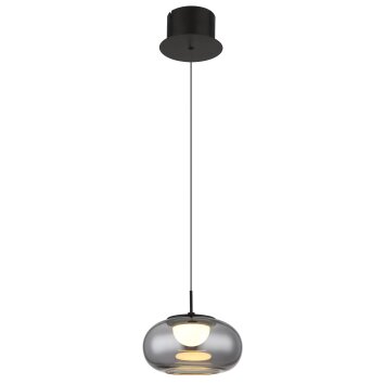 Globo Quintara Hanglamp LED Zwart, 1-licht