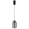 Globo Fluoro Hanglamp LED Zwart, 1-licht