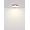 Globo Dublin Plafondlamp LED Grijs, 1-licht, Afstandsbediening