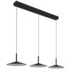 Globo Lampone Hanglamp LED Zwart, 1-licht