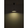 Globo Lampone Hanglamp LED Zwart, 1-licht