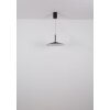 Globo Lampone Hanglamp LED Zwart, 1-licht