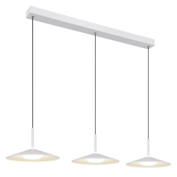 Globo Lampone Hanglamp LED Wit, 1-licht