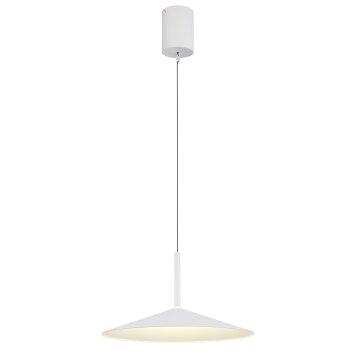 Globo Lampone Hanglamp LED Wit, 1-licht