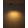 Globo Kayson Hanglamp LED Zwart, 1-licht