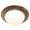 steenhouwer Ikaro Plafondlamp LED Brons, 1-licht