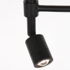 steenhouwer Stang Staande lamp LED Zwart, 2-lichts