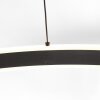 steenhouwer Ringlux Hanglamp LED Zwart, 2-lichts