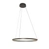 steenhouwer Ringlux Hanglamp LED Zwart, 2-lichts