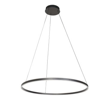 steenhouwer Ringlux Hanglamp LED Zwart, 2-lichts