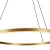 steenhouwer Ringlux Hanglamp LED Goud, 2-lichts